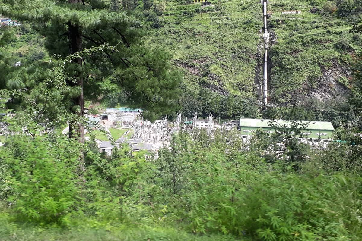 Pine forest and a waterfall on the slopes of the Parvati Valley near Kasol