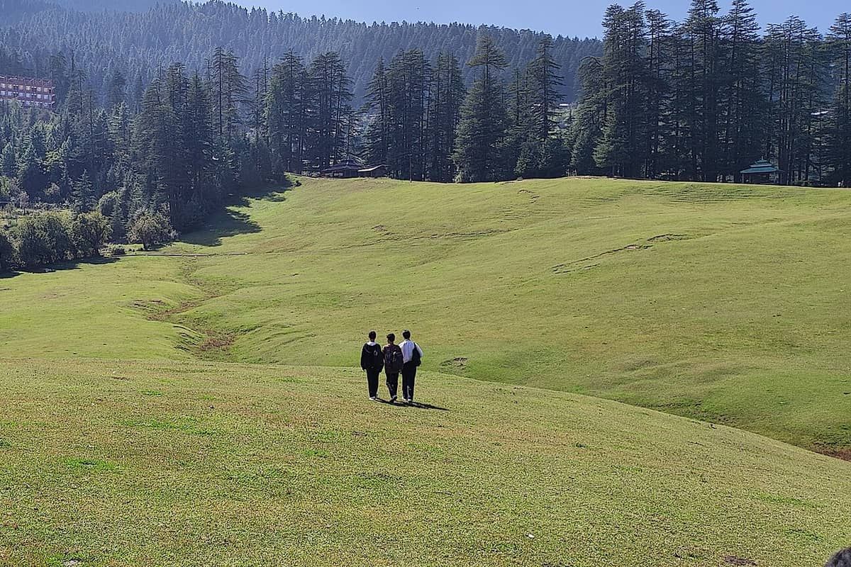 Two people crossing the wide green Shangarh meadow ringed by deodar forest